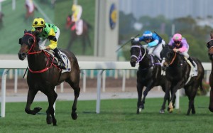 Nothingilikemore puts a space on his rivals as he lands his third straight victory. Photos: Kenneth Chan