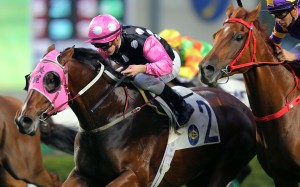 Aussie banking on change of fortune after an infection forces him to miss three winners at Happy Valley, another in New Zealand, and a Golden Slipper ride this weekend