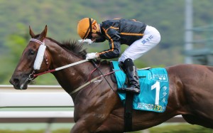 Race 8, Able Friend, ridden by Joao Moreira, won the Champions Mile(Group 1, 1600m) at Sha Tin on 03May15.