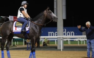 Arrogate and trainer Bob Baffert on the training track in Dubai. Photo: Kenneth Chan