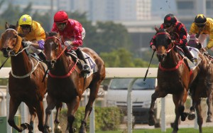 The eight-time champion trainer has four of the 11 runners in Sunday’s Group One, headlined by likely favourite Mr Stunning