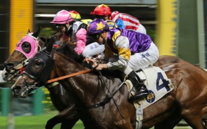 Litterateur (4) storms over the top of his rivals to win at Happy Valley last start. Photos: Kenneth Chan