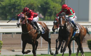 Helene Charisma (right) hangs in as he goes to pass stablemate Eagle Way last start in the Queen Mother Memorial Cup at Sha Tin. Photos: Kenneth Chan
