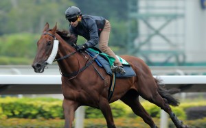 Able Friend (Joao Moreira) is set to retire. Photo: Kenneth Chan