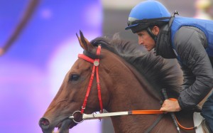 Jockey Bernard Fayd'herbe, seen here riding trackwork, won the Durban July at Greyville on Saturday. Photo: Kenneth Chan
