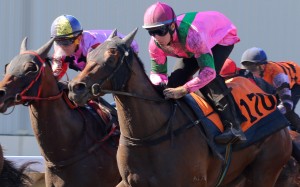 Tommy Berry (right) gets Magic Legend ready for this assignment in a barrier trial. Photos: Kenneth Chan
