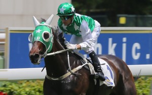 Joao Moreira and Pakistan Star. Photos: Kenneth Chan