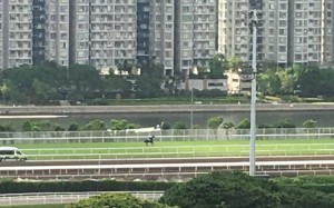 Pakistan Star comes to a standstill down the back straight in his trial at Sha Tin on Tuesday. Photos: Kenneth Chan