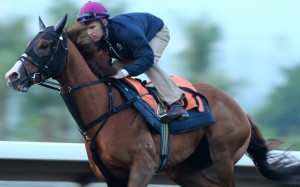 Tommy Berry partners Eagle Way in a gallop at Sha Tin on Thursday morning. Photos: Kenneth Chan