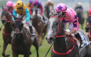 Zac Purton cruises to victory aboard Hot King Prawn. Photos: Kenneth Chan