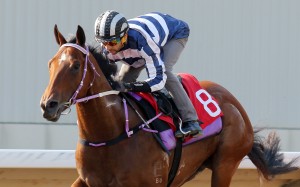 The trainer has been touted as a contender for the title but needs his young horses to progress if he is to live up to those expectations