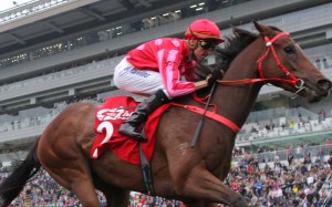 Nash Rawiller guides Mr Stunning to victory in the Group Two Jockey Club Sprint at Sha Tin on Sunday. Photos: Kenneth Chan