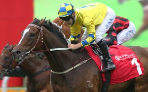 The former Horse of the Year was set a big challenge by the runaway leader, but he was up for the fight in Sunday’s Group Two at Sha Tin