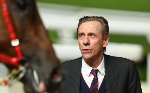 John Size looks over Conte after his victory at Sha Tin on Sunday. Photos: Kenneth Chan