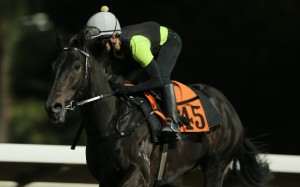 Dr Proactive works at Sha Tin. Photo: Kenneth Chan