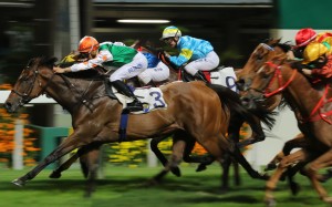 Call Me Awesome wins in May. Photo: Kenneth Chan.