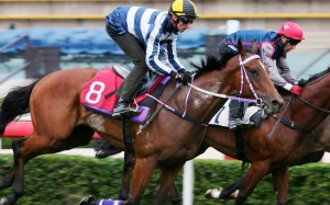 Nash Rawiller rides Eighty Eighty in a trial on December 12. Photos: Kenneth Chan.