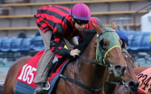 The four-year-old hit the front early first-up but perhaps condition caught up with the big gelding and he gets an opportunity to impress at Sha Tin on Sunday