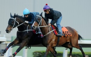 Doctor Geoff (outside) works with Dragon Lips on Thursday at Sha Tin. Photos: Kenneth Chan.