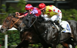 Carry To Win (left) finishes second to Actuariat on Wednesday night. Photo: Kenneth Chan