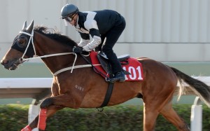 Zac Purton rides Exultant, wearing a hood, in a trial on Friday morning. Photos: Kenneth Chan