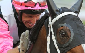 Neil Callan and Beauty Only after winning at Sha Tin in 2015. Photos: Kenneth Chan