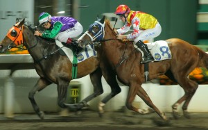 Elite Boy (right) finishes second to Winning Supreme on Wednesday night. Photo: Kenneth Chan