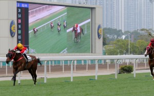 Dinozzo streets his rivals in the Group Three Centenary Vase. Photos: Kenneth Chan