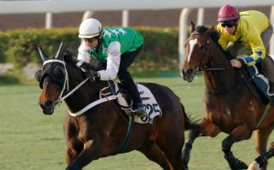 Pakistan Star (Joao Moreira) passes his barrier test with flying colours at Sha Tin on Tuesday morning, leading home Werther (Tommy Berry). Photos: Kenneth Chan