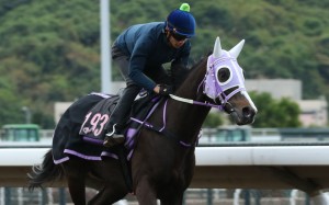 Derek Leung rides Classic Emperor left-handed at trackwork in January. Photos: Kenneth Chan