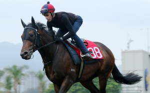 Sam Clipperton works Rivet on Friday morning. Photos: Kenneth Chan