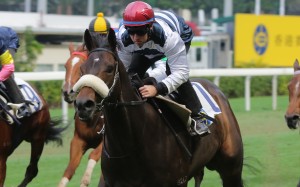 Tommy Berry wins a barrier trial with Harmony Hero. Photo: Kenneth Chan