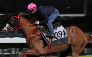 Umberto Rispoli gallops Generous Heart on Monday morning. Photos: Kenneth Chan