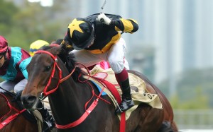 Olivier Doleuze drives D B Pin to victory in the Group One Centenary Sprint Cup. Photos: Kenneth Chan