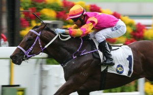Joao Moreira guides A Beautiful to victory in October. Photo: Kenneth Chan