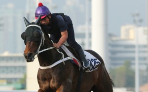 Pakistan Star gallops on Thursday morning. Photos: Kenneth Chan
