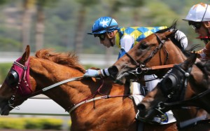 Sam Clipperton guides Solar Patch to victory on debut. Photos: Kenneth Chan