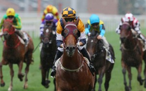 Styling City cruises away from his rivals at Sha Tin on Sunday. Photos: Kenneth Chan