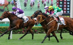 Strathspey (left) finishes second to Namjong Plus on Sunday. Photo: Kenneth Chan