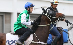 The five-year-old is one of Hong Kong racing’s most talented horses but he has plenty of quirks and he secured his place in next week’s Group One by completing a barrier trial 