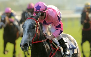 Zac Purton sits quietly as Hot King Prawn cruises to victory in December. Photos: Kenneth Chan