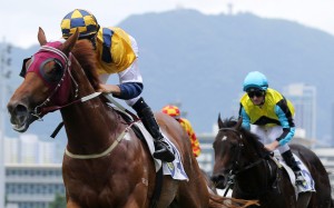 Joao Moreira guides Styling City to victory at Sha Tin on Sunday. Photo: Kenneth Chan
