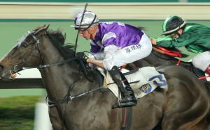 Nash Rawiller guides Almababy to victory in January. Photos: Kenneth Chan