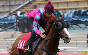 Derek Leung wins a barrier trial with Striking Mr C. Photo: Kenneth Chan