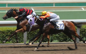 Sky Treasure (Zac Purton) holds off Snowhooves (Joao Moreira) in a dirt race at Sha Tin on June 16. Photos: Kenneth Chan.