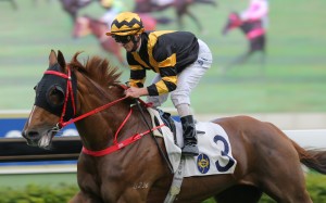 Zac Purton guides Glorious Forever to victory. Photos: Kenneth Chan