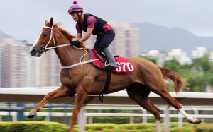 Pakistan Friend works at Sha Tin this week. Photos: Kenneth Chan.