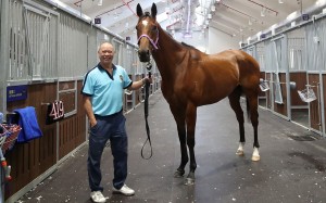 Chris So and Fabulous One at Conghua. Photo: HKJC