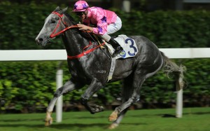 Hot King Prawn wins under Zac Purton at Happy Valley. Photos: Kenneth Chan
