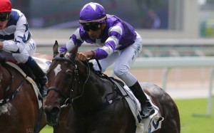 Strathallan wins under Karis Teetan at Sha Tin on Saturday. Photos: Kenneth Chan